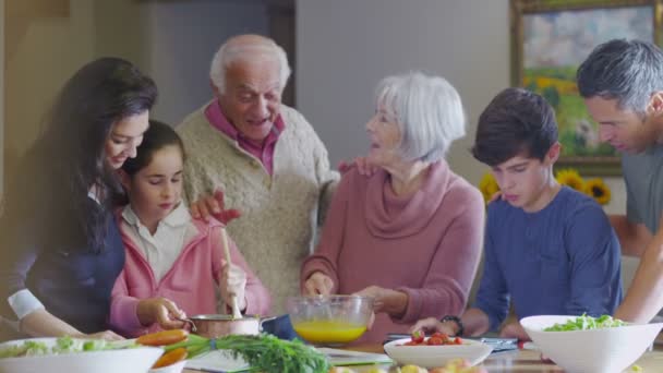 Familie bereitet gemeinsam ein Essen zu — Stockvideo