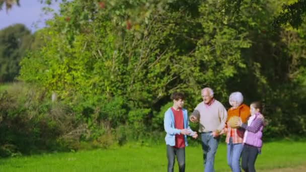 Grandparents walk with grandchildren in countryside — Stock Video