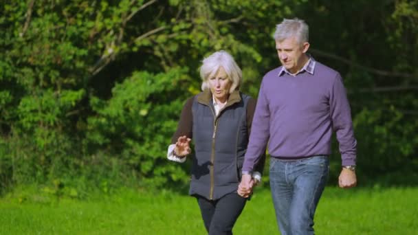 Älteres Paar geht auf dem Land spazieren — Stockvideo