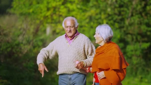 Äldre par promenad på landsbygden — Stockvideo