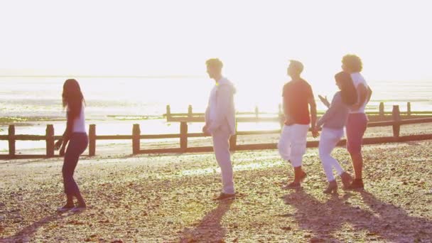 Friends hanging out on beach and throwing stones — Stock Video