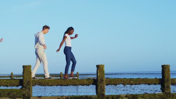 Freunde amüsieren sich am Strand — Stockvideo