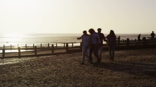 Vrienden plezier op strand — Stockvideo