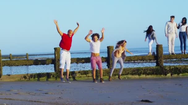 Freunde amüsieren sich am Strand — Stockvideo