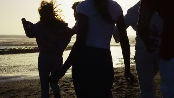 Friends having fun on beach — Stock Video