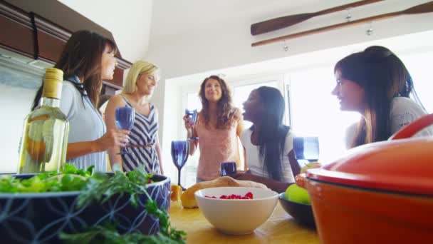 Amis femmes buvant du vin et bavardant 