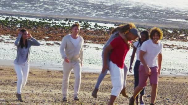 Friends having fun on beach — Stock Video