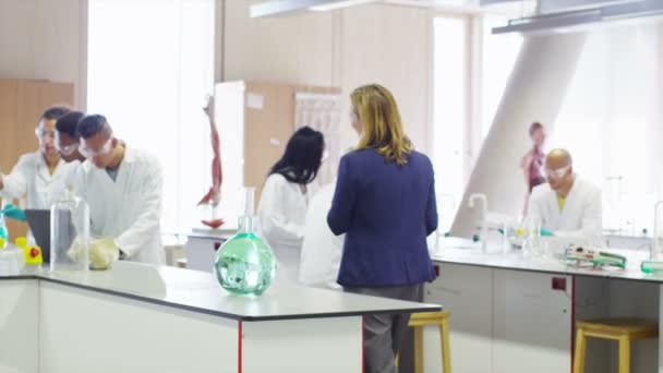 Students in science class — Stock Video