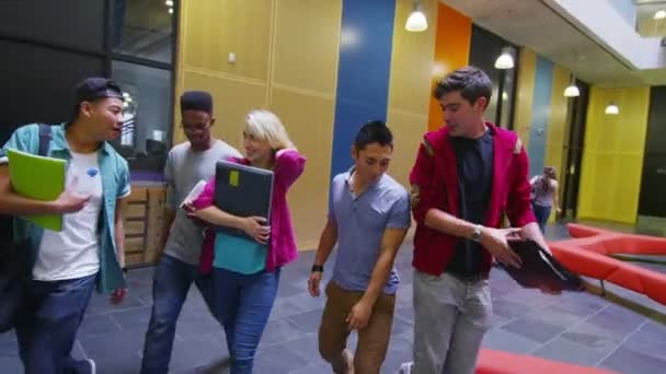 Студенты, проходящие через университет — стоковое видео