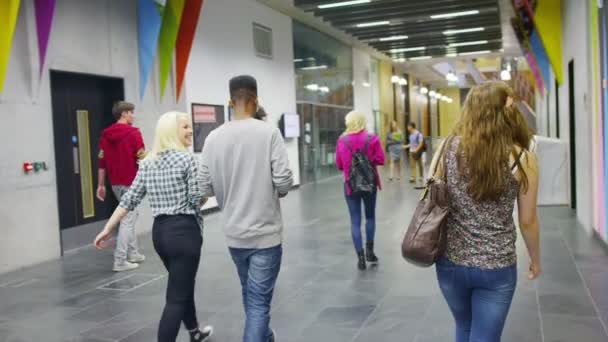 Student walking through university — Stock Video