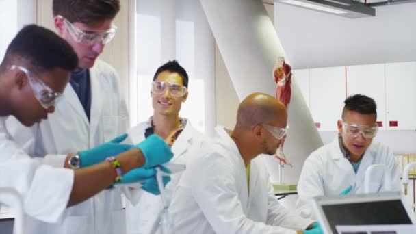 Students working in science class — Stock Video