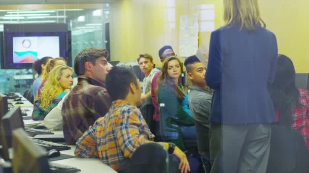 Profesora grupo de enseñanza de la universidad — Vídeo de stock