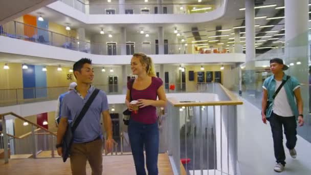 Student groep in Universiteit — Stockvideo