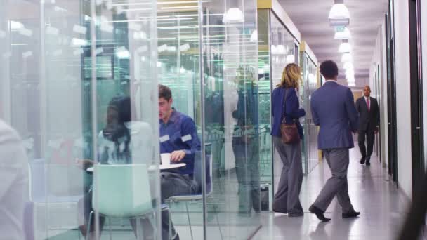 Geschäftsteam arbeitet im Büro zusammen — Stockvideo