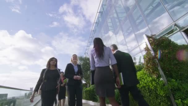 Colleghi di lavoro che camminano all'aperto sulla terrazza — Video Stock