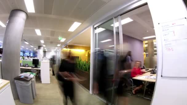 Employés de bureau occupés dans un immeuble de bureaux — Video