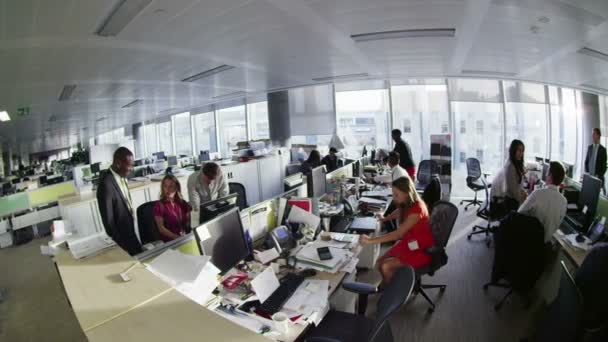 Diverso grupo de negocios trabajando juntos en una gran oficina moderna de la ciudad — Vídeo de stock