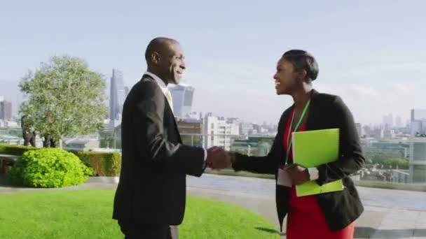 Unternehmer und Geschäftsfrau treffen sich und schütteln die Hand — Stockvideo