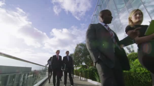Коллеги по бизнесу прогуливаются на террасе — стоковое видео