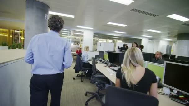 City ofisinde çalışan iş grubu — Stok video