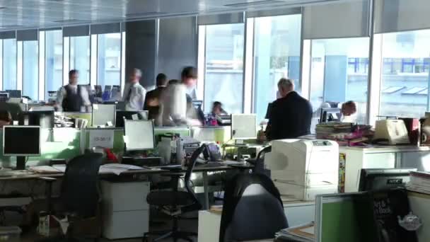 Busy office workers working together — Stock Video