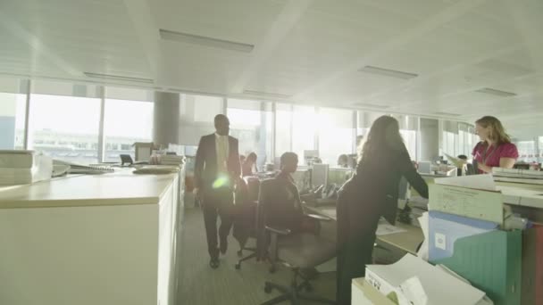 Разнообразные бизнес-группы, работающие вместе в большом современном городском офисе — стоковое видео