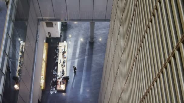 商界人士在大的办公大楼 — 图库视频影像