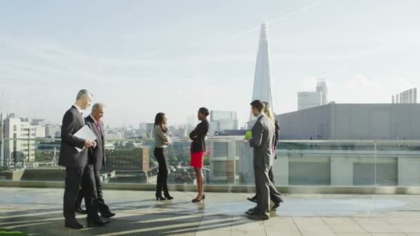 Business colleagues chat on office roof terrace — Stock Video