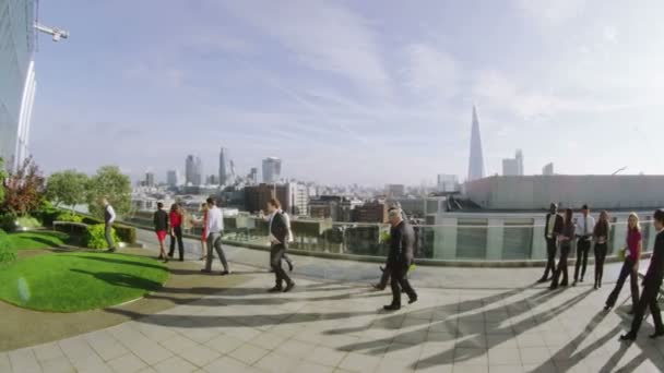 Compañeros de negocios charlan en la terraza de la oficina — Vídeo de stock