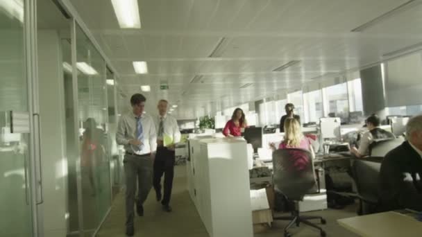 Diverse business group working together in large modern city office — Stock Video