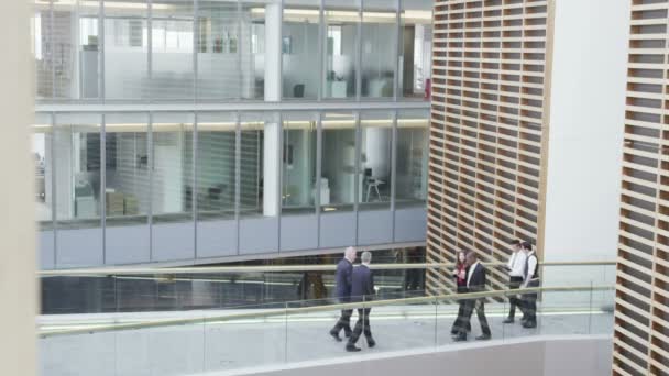 Pessoas de negócios caminhando por diferentes andares — Vídeo de Stock