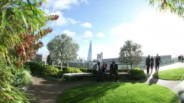 Grupo empresarial al aire libre — Vídeo de stock