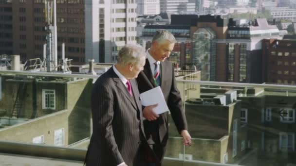 Business colleagues chat on office roof terrace — Stock Video