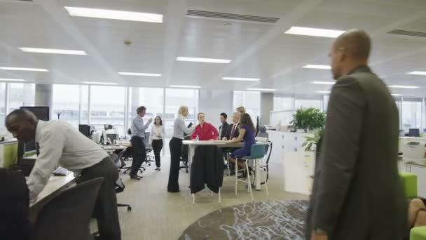 Business group working in city office — Stock Video