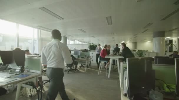 Bedrijfsgroep werken in office. — Stockvideo