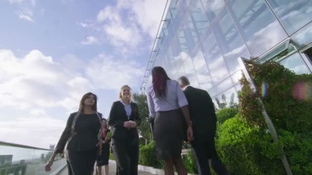 Colleghi di lavoro che camminano all'aperto sulla terrazza — Video Stock