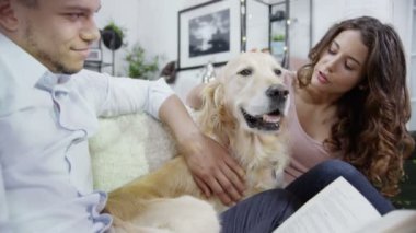 evde rahatlatıcı ve sarılma iki köpek pet