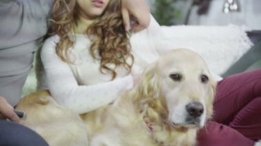 Çift evde köpek ile sohbet