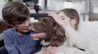 genç bir çocuk ve çok sevgi onların evde beslenen hayvan spaniel veren kız