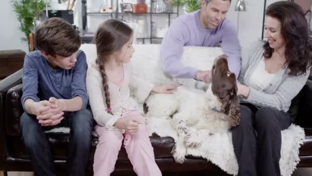 Счастливая семья готовится взять собаку на прогулку — стоковое видео