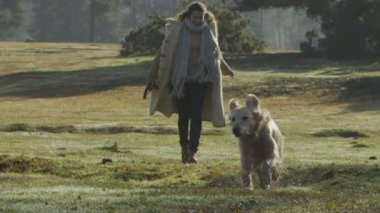kaç egzersiz köpek