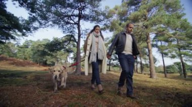 orman boyunca çift yürüyen köpek
