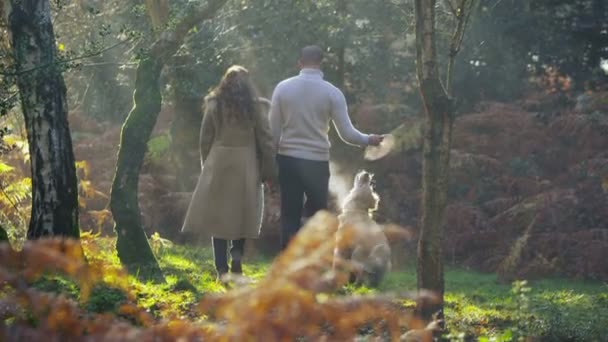 Pareja caminando y ejercitando perro — Vídeos de Stock