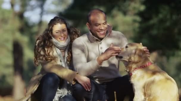 Pareja y perro al aire libre — Vídeos de Stock