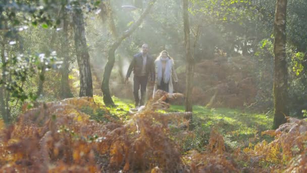 Paar und Hund gehen im Wald spazieren — Stockvideo