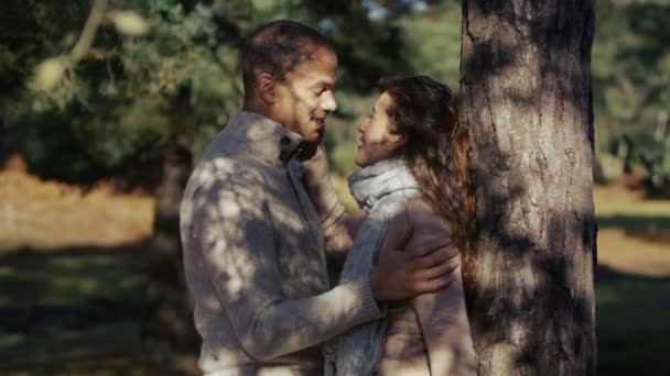 Pár vychutnat romantické v lese — Stock video