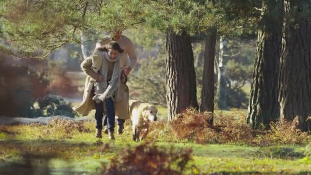 Pareja corriendo con perro — Vídeo de stock