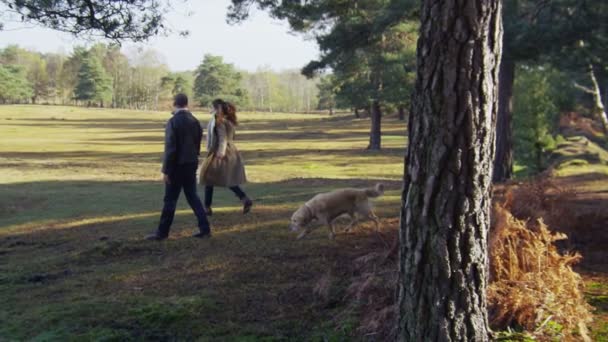 Ehepaar geht mit Hund im Wald spazieren — Stockvideo