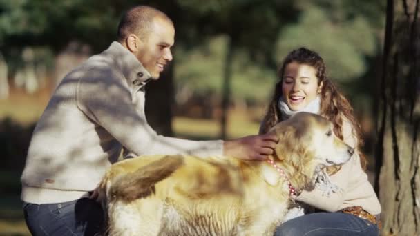 Casal estão acariciando e acariciando seu animal de estimação — Vídeo de Stock