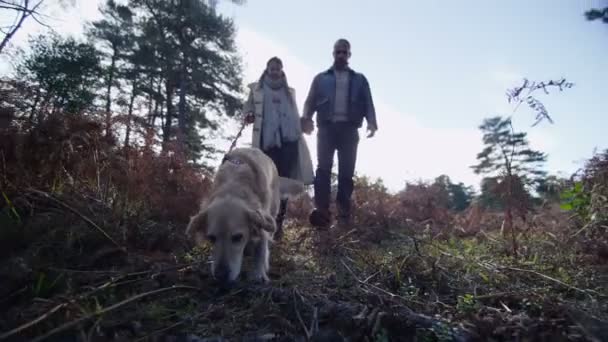 Paar geht Hund auf Waldweg spazieren — Stockvideo